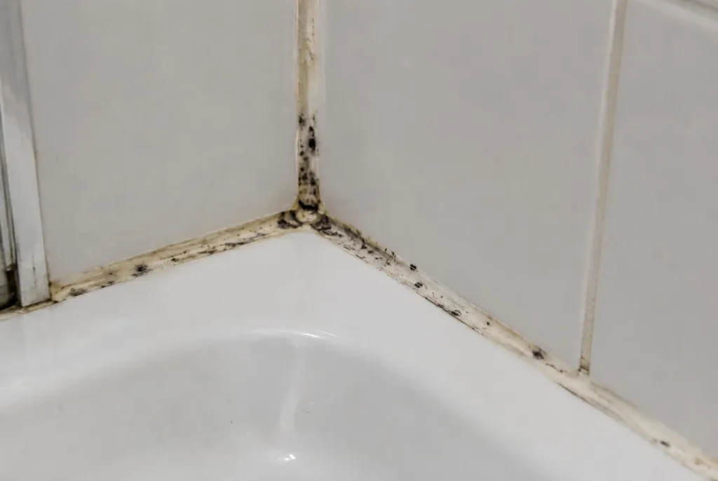 Kitbedrijf Haarlem – beschimmelde kitranden